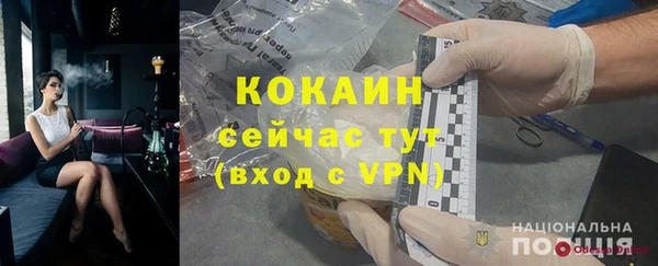 крисы Алзамай