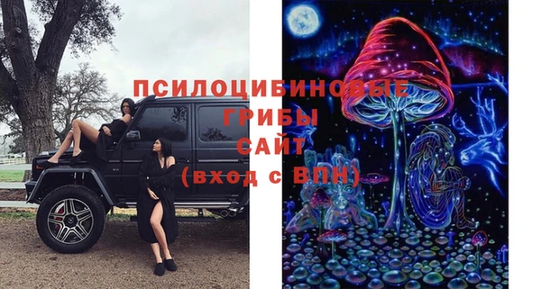 эйфоретик Абаза