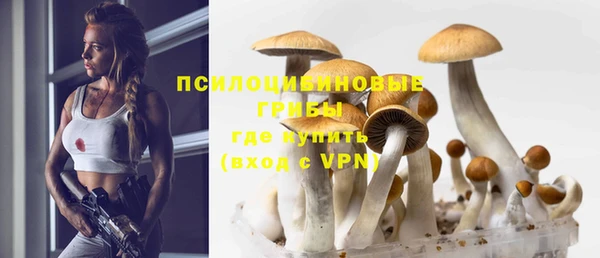 крисы Алзамай