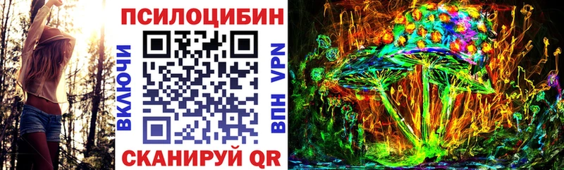 Псилоцибиновые грибы мицелий  хочу   Черепаново 